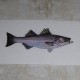 Fish and Flag Decals