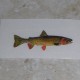 Fish and Flag Decals